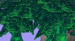 Buma Genesis Tree After Buma Genesis Tree After