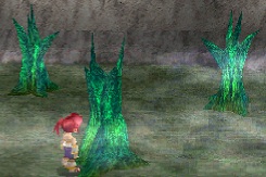 Buma Genesis Tree Before Buma Genesis Tree Before