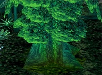 East Voz Forest Genesis Tree After East Voz Forest Genesis Tree After