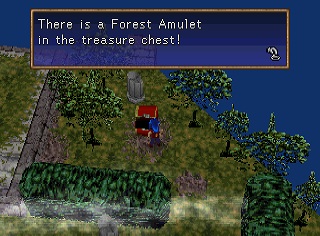 Forest Amulet in chest Forest Amulet in chest