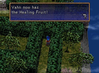 healing fruit in maze healing fruit in maze
