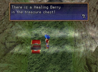 healing berry in a chest