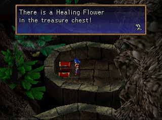 healing flower in chest