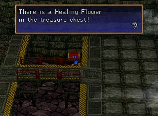 Healing flower in chest. Healing flower in chest.