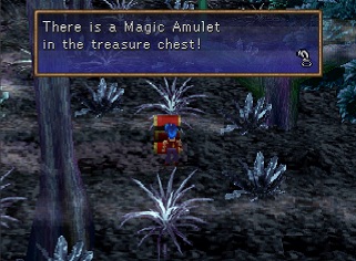 Magic Amulet in a chest