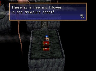 Healing Flower in a chest