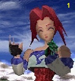 Terra Level 1