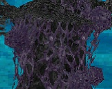 Genesis Tree