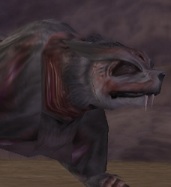 Lava Beast