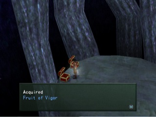 fruit of vigor