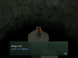 leaf of appeal in a chest