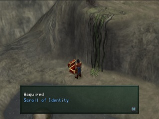 scroll of identity in a chest