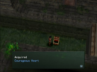 courageous heart in chest