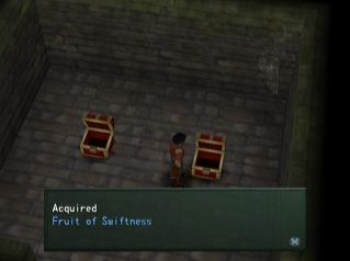 fruit of swiftness in chest
