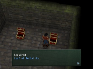 leaf of mentality in chest