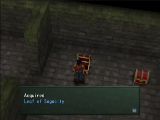 leaf of sagacity in chest