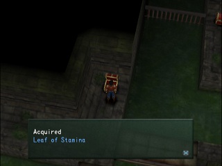 leaf of stamina in chest