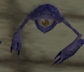 Arus Auge