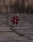 Blaze Wheel