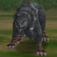 Bloody Wolf